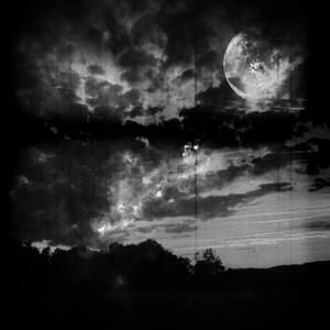 Meet your Posher, Trudy